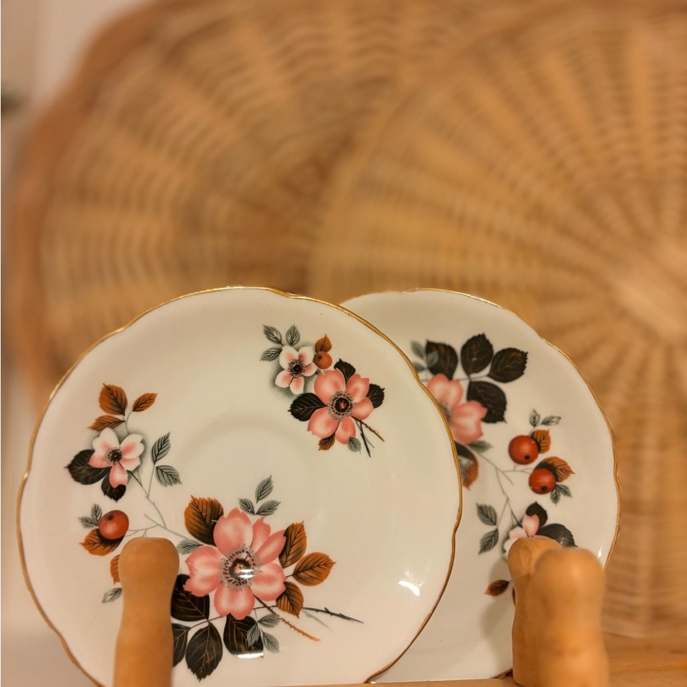 Dogwood Blossom" pattern by Taylor & Kent Saucers, set of 2